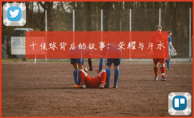 十佳球背后的故事：荣耀与汗水