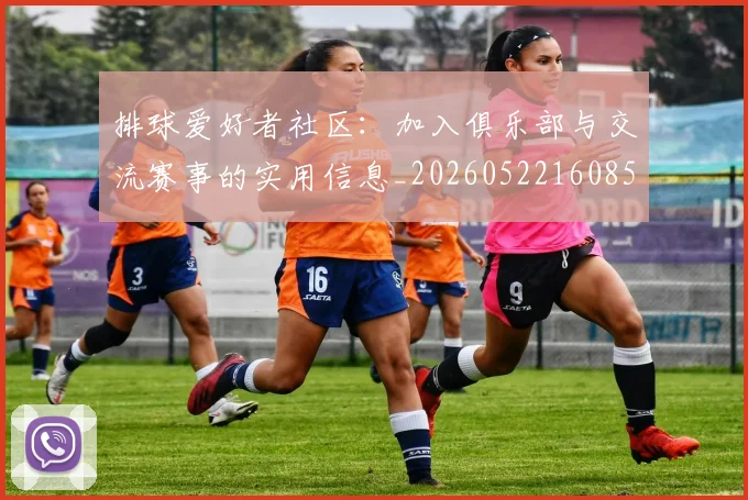 排球爱好者社区：加入俱乐部与交流赛事的实用信息_20260522160856