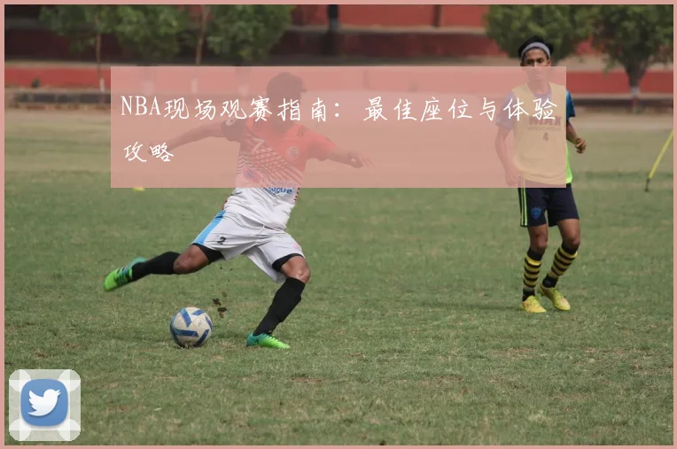 NBA现场观赛指南：最佳座位与体验攻略