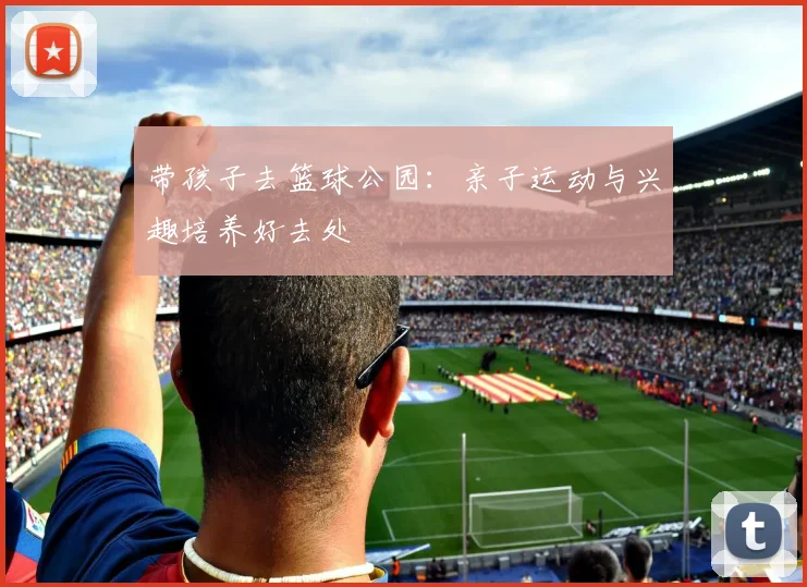 带孩子去篮球公园：亲子运动与兴趣培养好去处